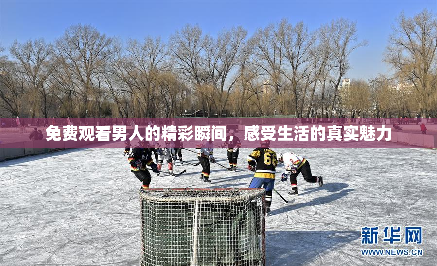 免费观看男人的精彩瞬间，感受生活的真实魅力