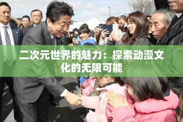 二次元世界的魅力：探索动漫文化的无限可能