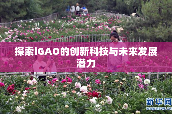 探索iGAO的创新科技与未来发展潜力