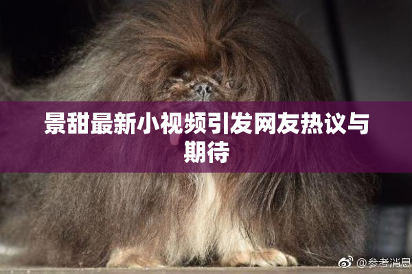 景甜最新小视频引发网友热议与期待