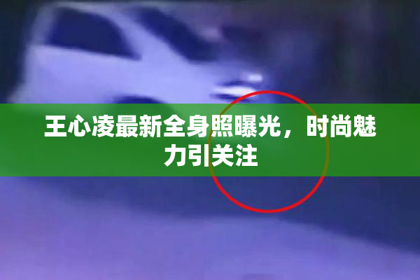 王心凌最新全身照曝光，时尚魅力引关注