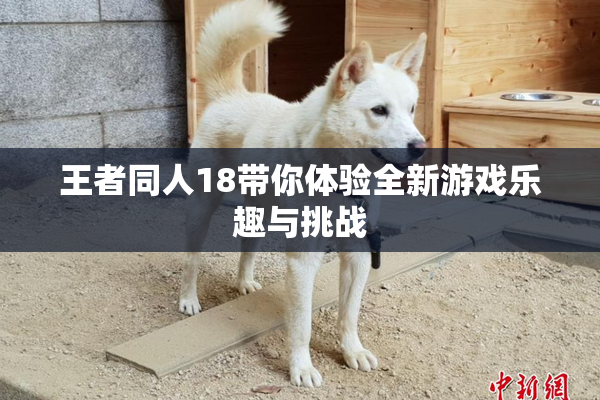 王者同人18带你体验全新游戏乐趣与挑战