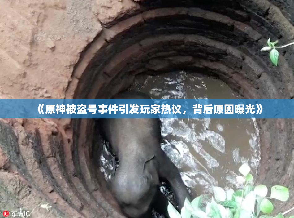 《原神被盗号事件引发玩家热议，背后原因曝光》