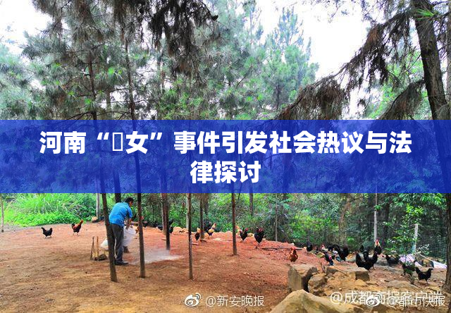 河南“婬女”事件引发社会热议与法律探讨