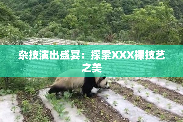 杂技演出盛宴：探索XXX裸技艺之美