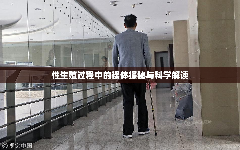 性生殖过程中的裸体探秘与科学解读