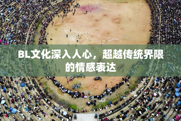BL文化深入人心，超越传统界限的情感表达