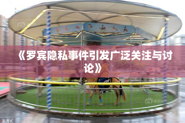 《罗宾隐私事件引发广泛关注与讨论》