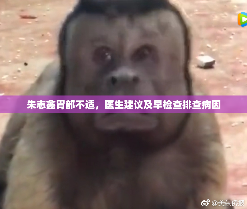 朱志鑫胃部不适，医生建议及早检查排查病因