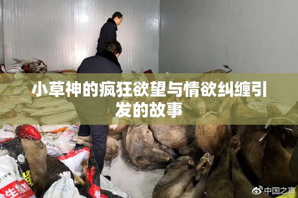 小草神的疯狂欲望与情欲纠缠引发的故事