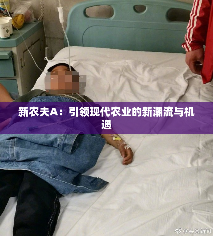 新农夫A：引领现代农业的新潮流与机遇