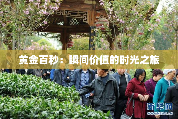 黄金百秒：瞬间价值的时光之旅