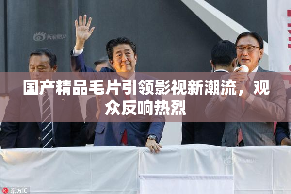 国产精品毛片引领影视新潮流，观众反响热烈