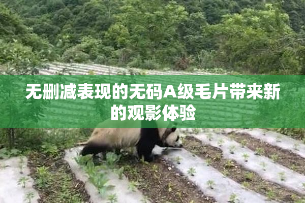 无删减表现的无码A级毛片带来新的观影体验