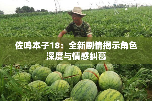 佐鸣本子18：全新剧情揭示角色深度与情感纠葛
