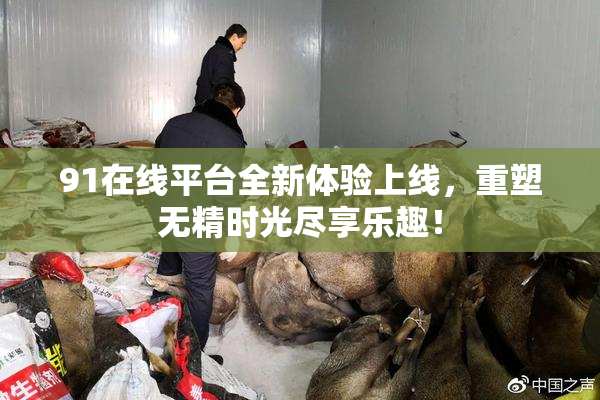91在线平台全新体验上线，重塑无精时光尽享乐趣！