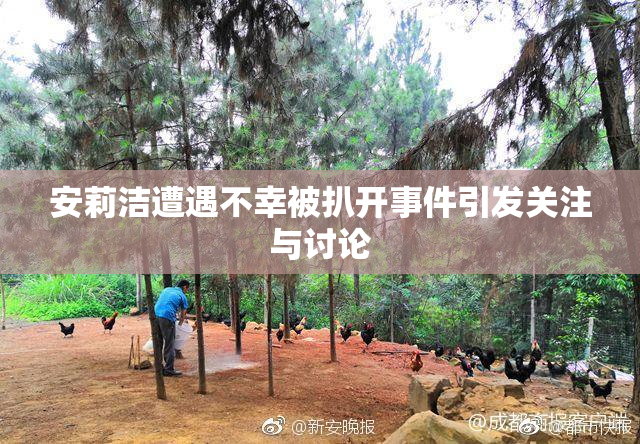 安莉洁遭遇不幸被扒开事件引发关注与讨论
