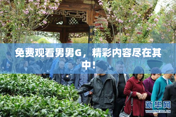 免费观看男男G，精彩内容尽在其中！