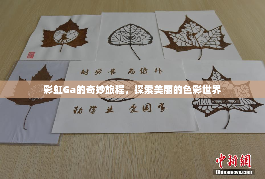 彩虹Ga的奇妙旅程，探索美丽的色彩世界