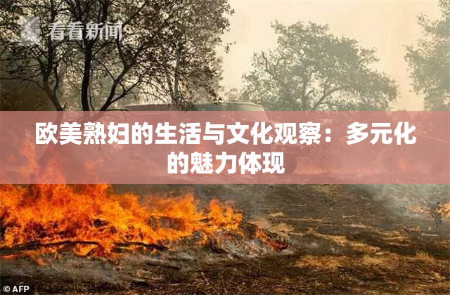 欧美熟妇的生活与文化观察：多元化的魅力体现