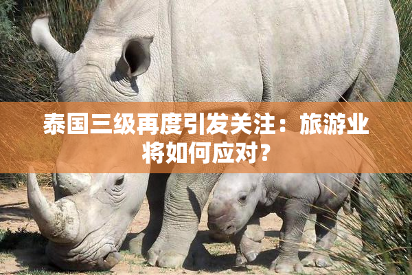 泰国三级再度引发关注：旅游业将如何应对？