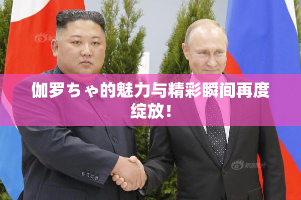 伽罗ちゃ的魅力与精彩瞬间再度绽放！