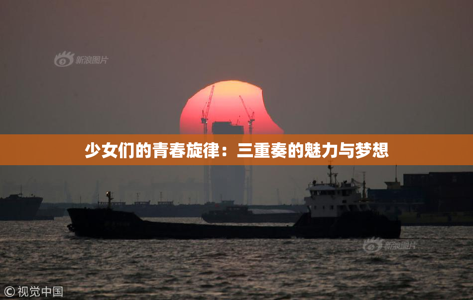 少女们的青春旋律：三重奏的魅力与梦想