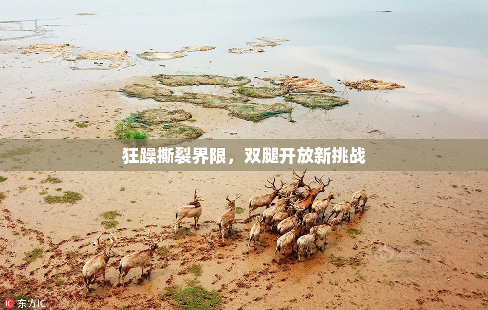 狂躁撕裂界限，双腿开放新挑战