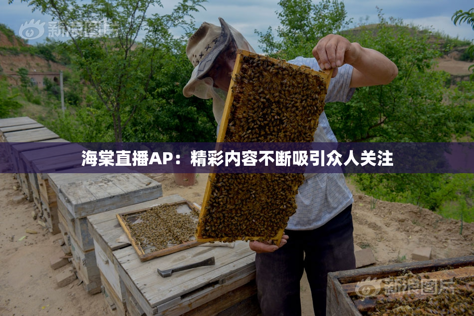 海棠直播AP：精彩内容不断吸引众人关注