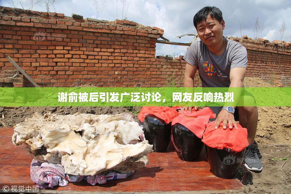谢俞被后引发广泛讨论，网友反响热烈