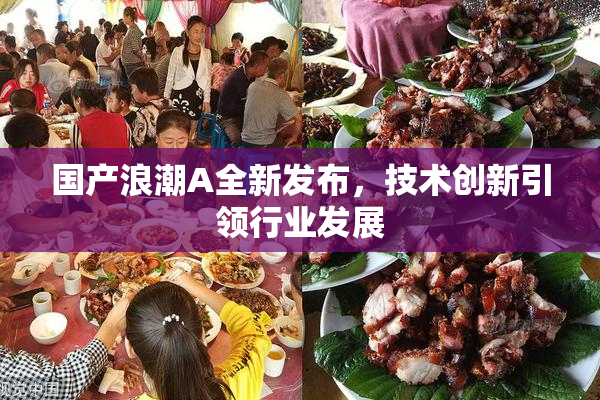 国产浪潮A全新发布，技术创新引领行业发展