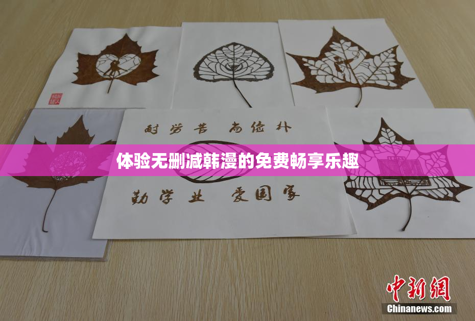 体验无删减韩漫的免费畅享乐趣