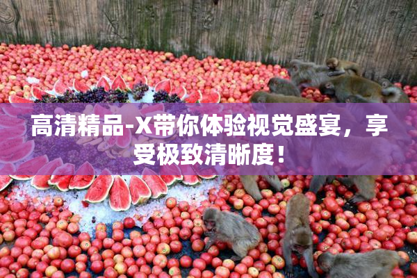 高清精品-X带你体验视觉盛宴，享受极致清晰度！