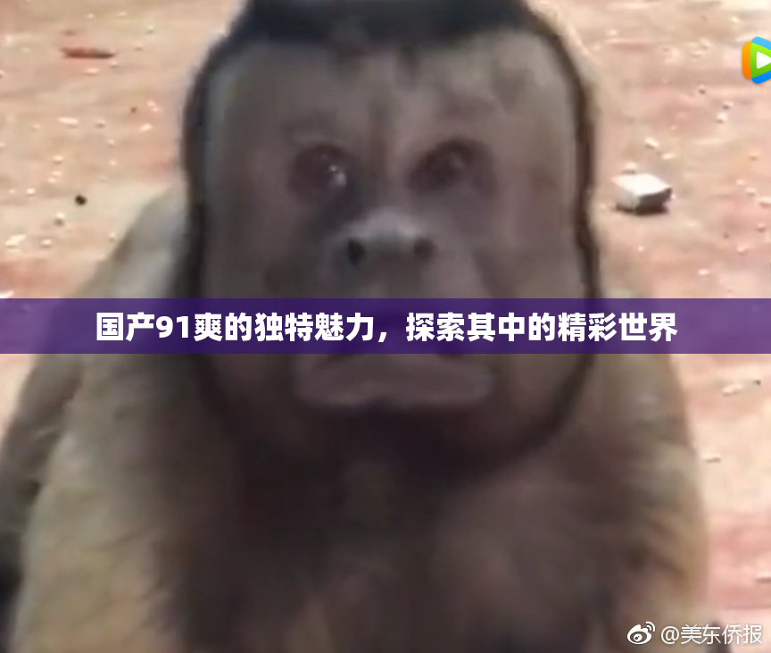 国产91爽的独特魅力，探索其中的精彩世界