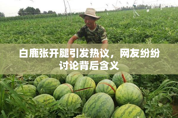 白鹿张开腿引发热议，网友纷纷讨论背后含义
