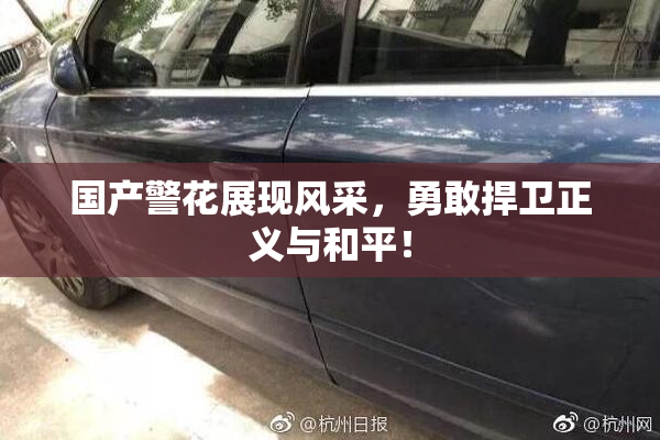 国产警花展现风采，勇敢捍卫正义与和平！