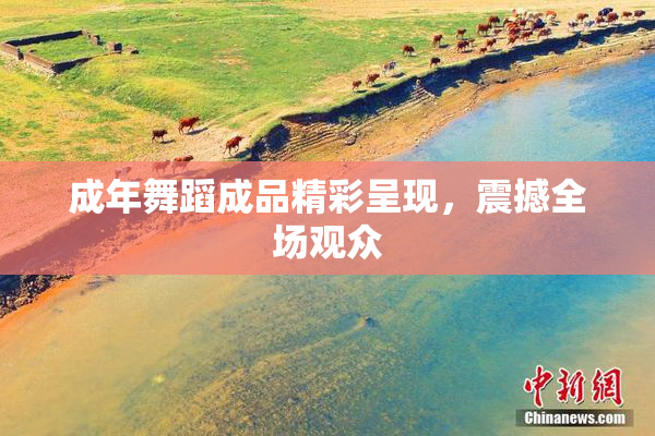 成年舞蹈成品精彩呈现，震撼全场观众