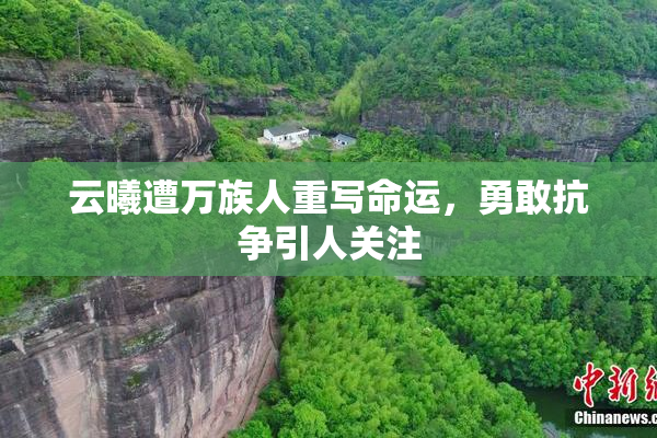 云曦遭万族人重写命运，勇敢抗争引人关注