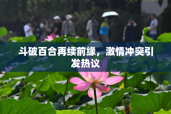 斗破百合再续前缘，激情冲突引发热议