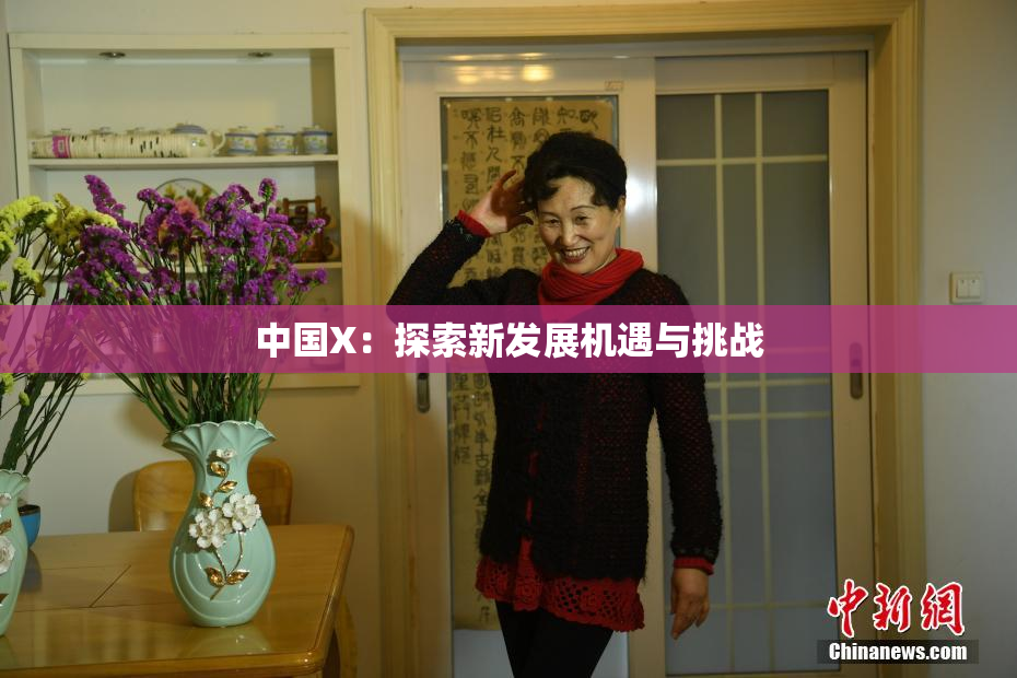 中国X：探索新发展机遇与挑战