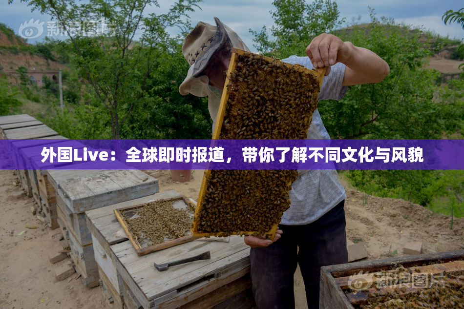 外国Live：全球即时报道，带你了解不同文化与风貌