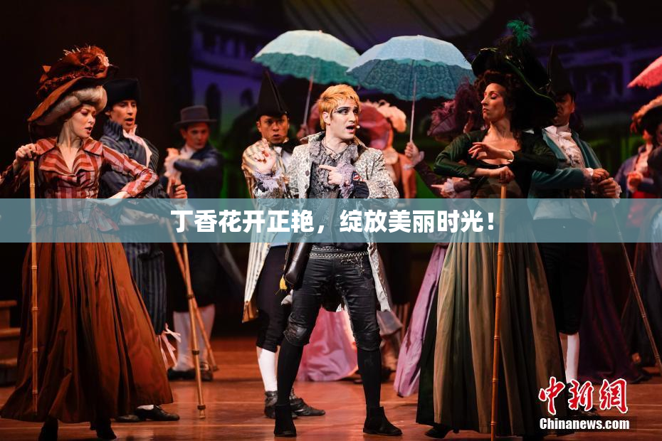 丁香花开正艳，绽放美丽时光！