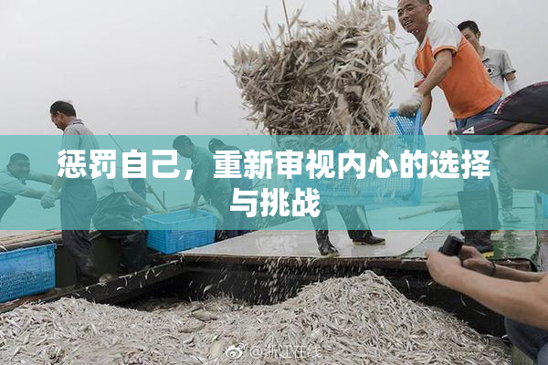 惩罚自己，重新审视内心的选择与挑战