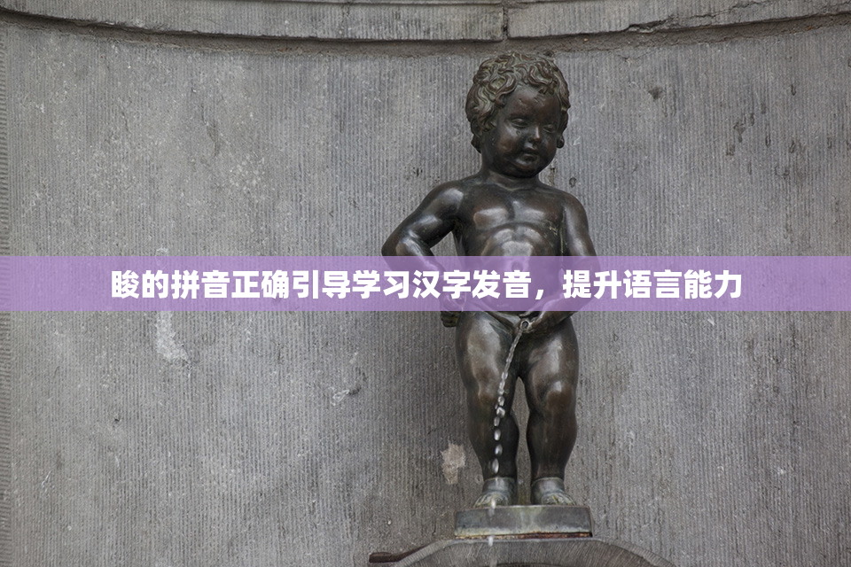 睃的拼音正确引导学习汉字发音，提升语言能力