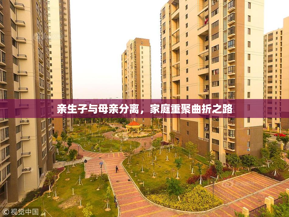 亲生子与母亲分离，家庭重聚曲折之路