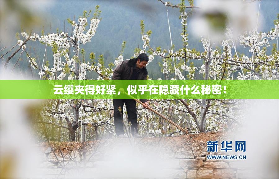 云缨夹得好紧，似乎在隐藏什么秘密！