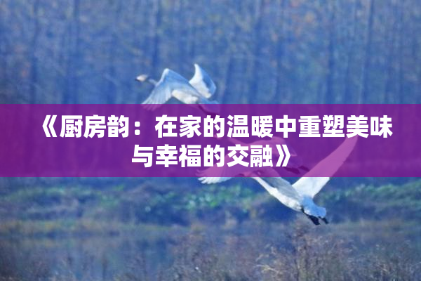 《厨房韵：在家的温暖中重塑美味与幸福的交融》