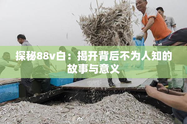 探秘88v白：揭开背后不为人知的故事与意义
