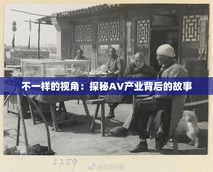 不一样的视角：探秘AV产业背后的故事