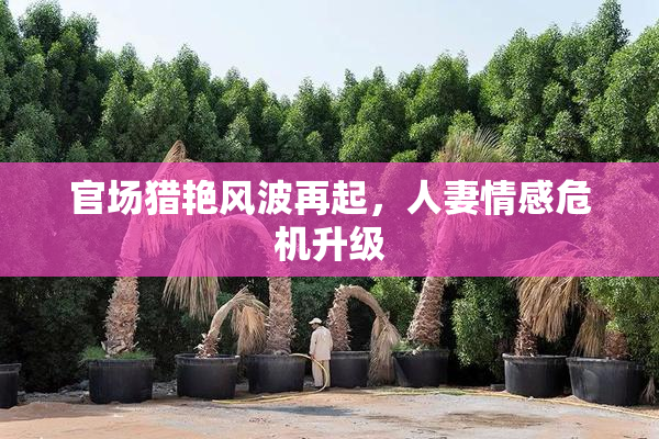 官场猎艳风波再起，人妻情感危机升级